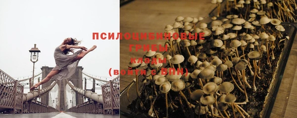 бутират Новодвинск
