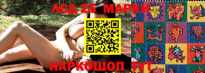 ПСИЛОЦИБИНОВЫЕ ГРИБЫ Берёзовский