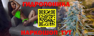 ПСИЛОЦИБИНОВЫЕ ГРИБЫ Берёзовский