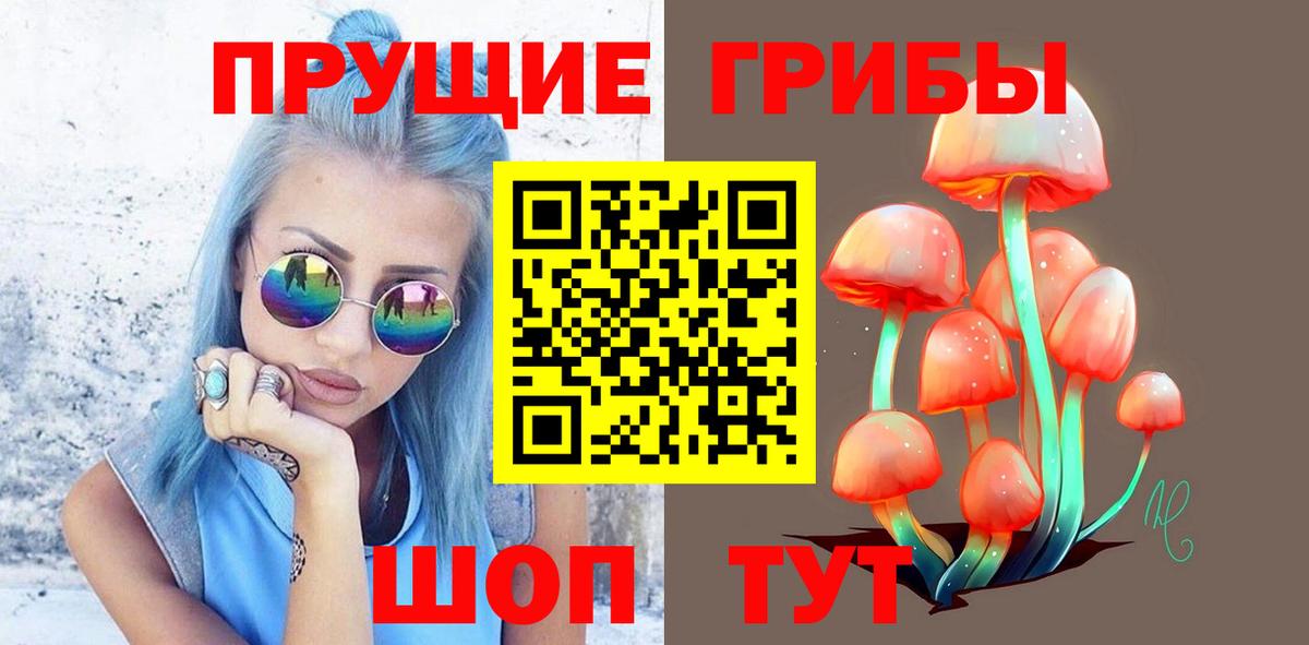 Галлюциногенные грибы прущие грибы Лесозаводск