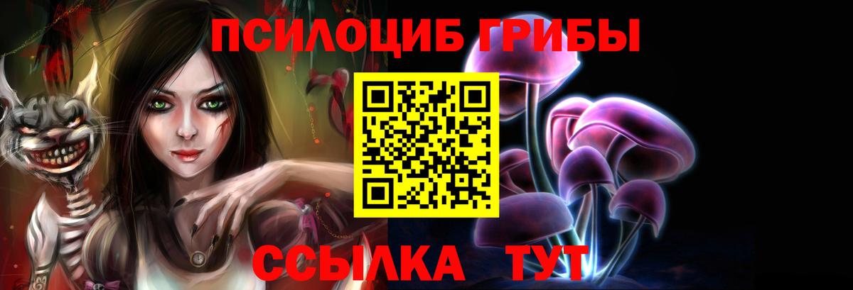 Псилоцибиновые грибы Psilocybine cubensis  Вход с VPN  Лесозаводск 