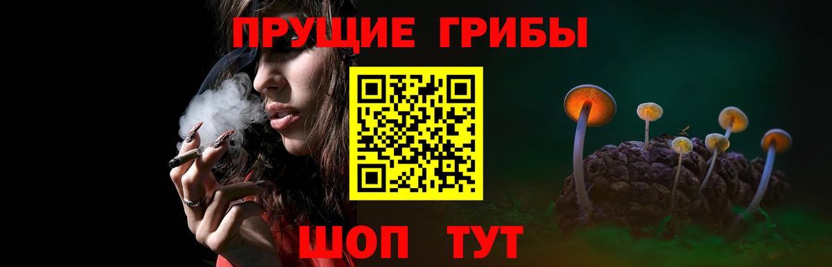 Псилоцибиновые грибы мухоморы Лесозаводск