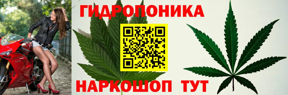 Лесозаводск  Марихуана OG Kush  Шишки марихуана OG Kush  Вход с VPN 